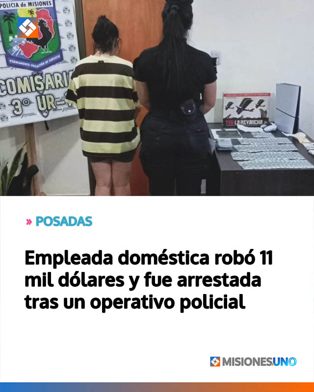 Empleada doméstica robó 11 mil dólares y fue arrestada tras un operativo policial
