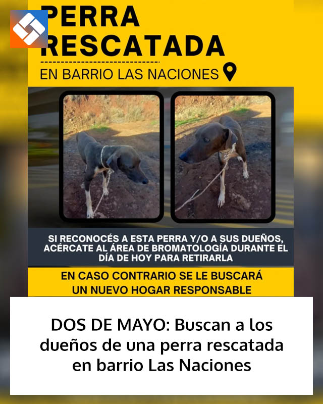 DOS DE MAYO: Buscan a los dueños de una perra rescatada en barrio Las Naciones