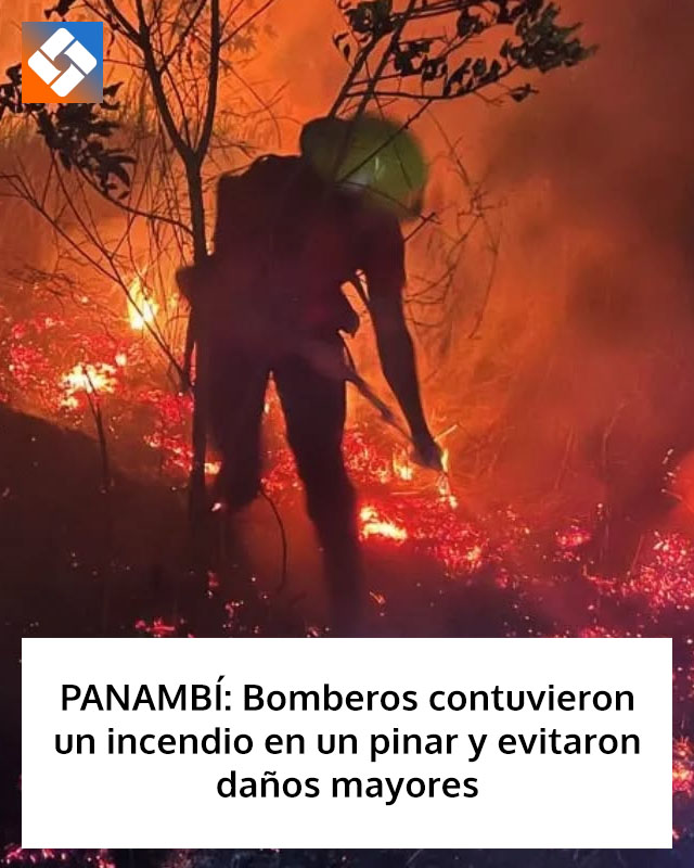 PANAMBÍ: Bomberos contuvieron un incendio en un pinar y evitaron daños mayores