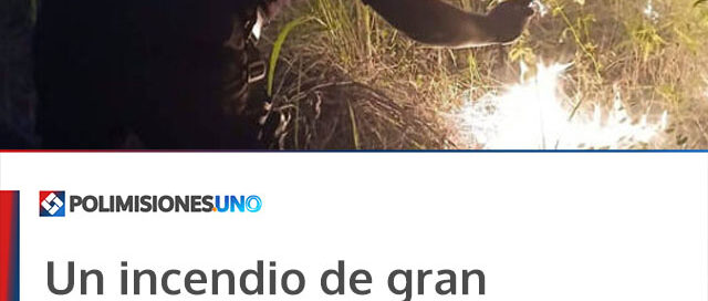 Un incendio de gran magnitud afectó 15 hectáreas en Santo Pipó y zonas aledañas