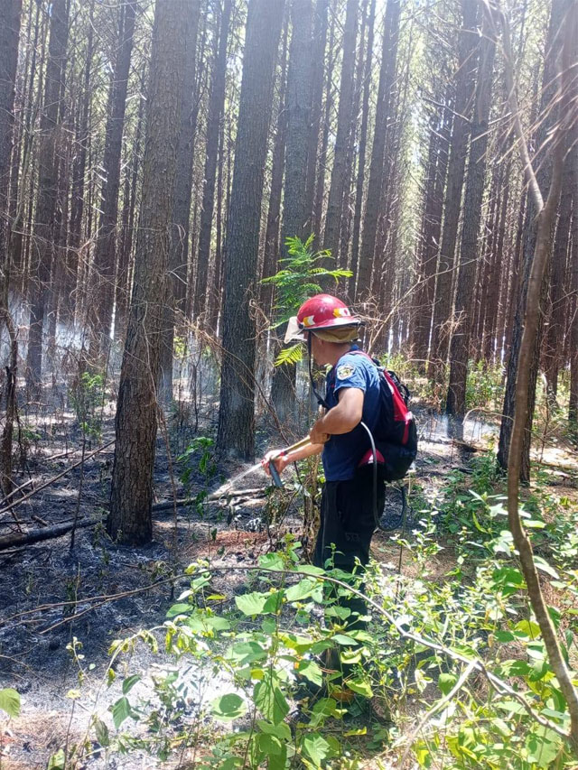 Bomberos y Policía trabajan para controlar incendio en lote de pinar